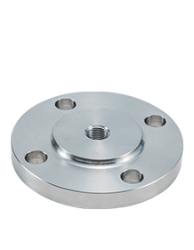 Steel Flange